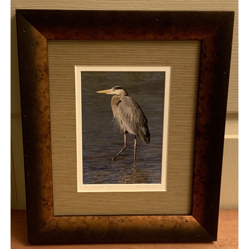 Susan Robert's Photography Framed 11x9 "The Stalk" Heron Numbered 29/150